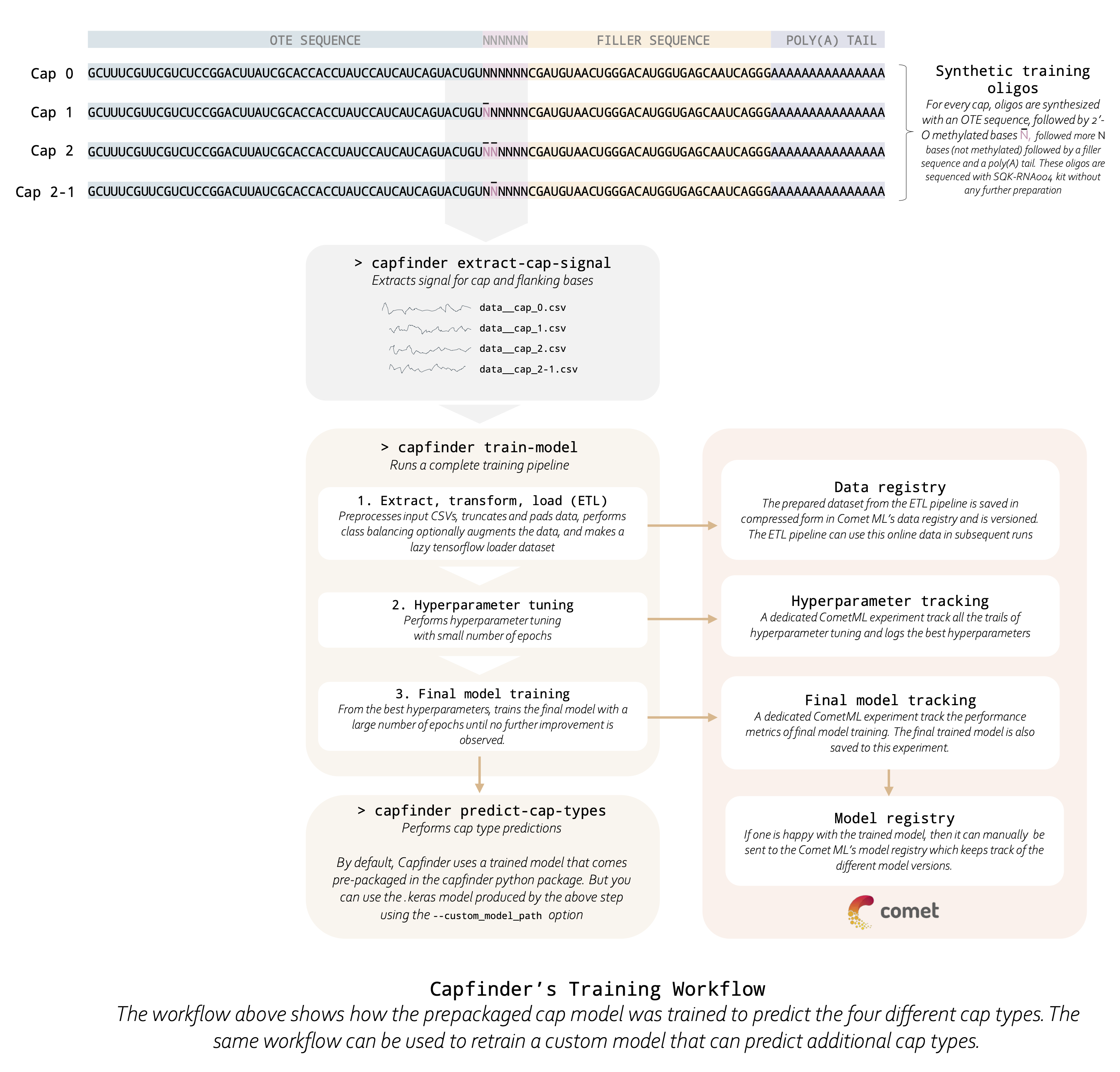 Capfinder's Training Workflow